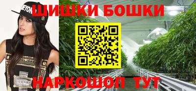 гидропоника Камышлов
