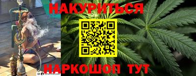 гидропоника Камышлов