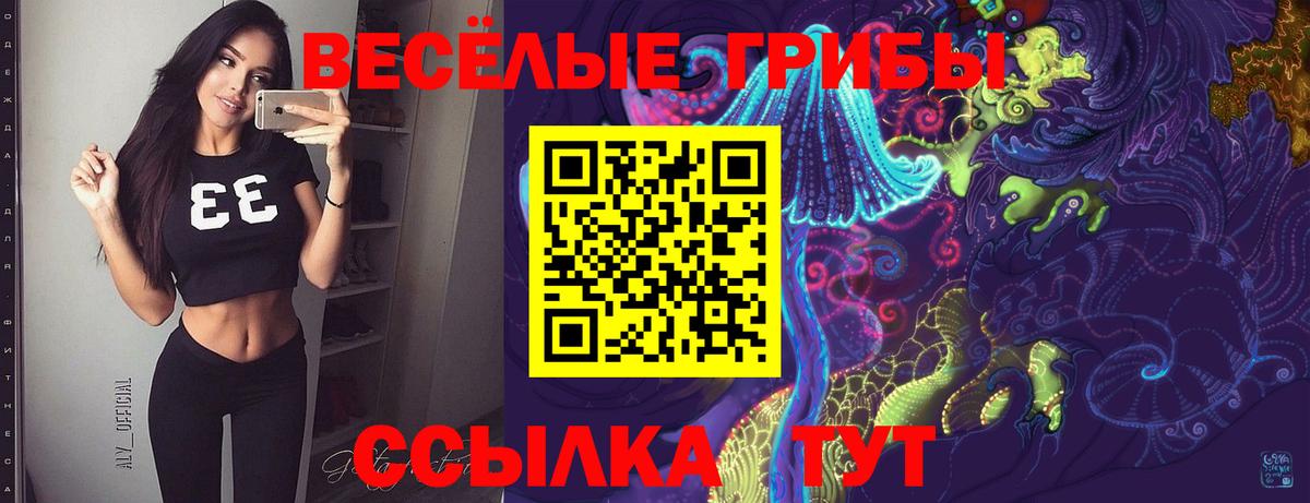 Псилоцибиновые грибы мицелий Мегион
