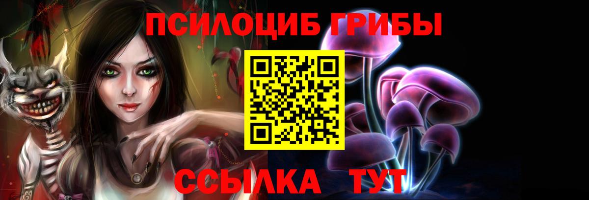 Галлюциногенные грибы Psilocybine cubensis  Вход с VPN  Мегион 